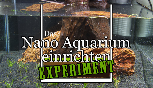 Nano Aquarium Experiment.